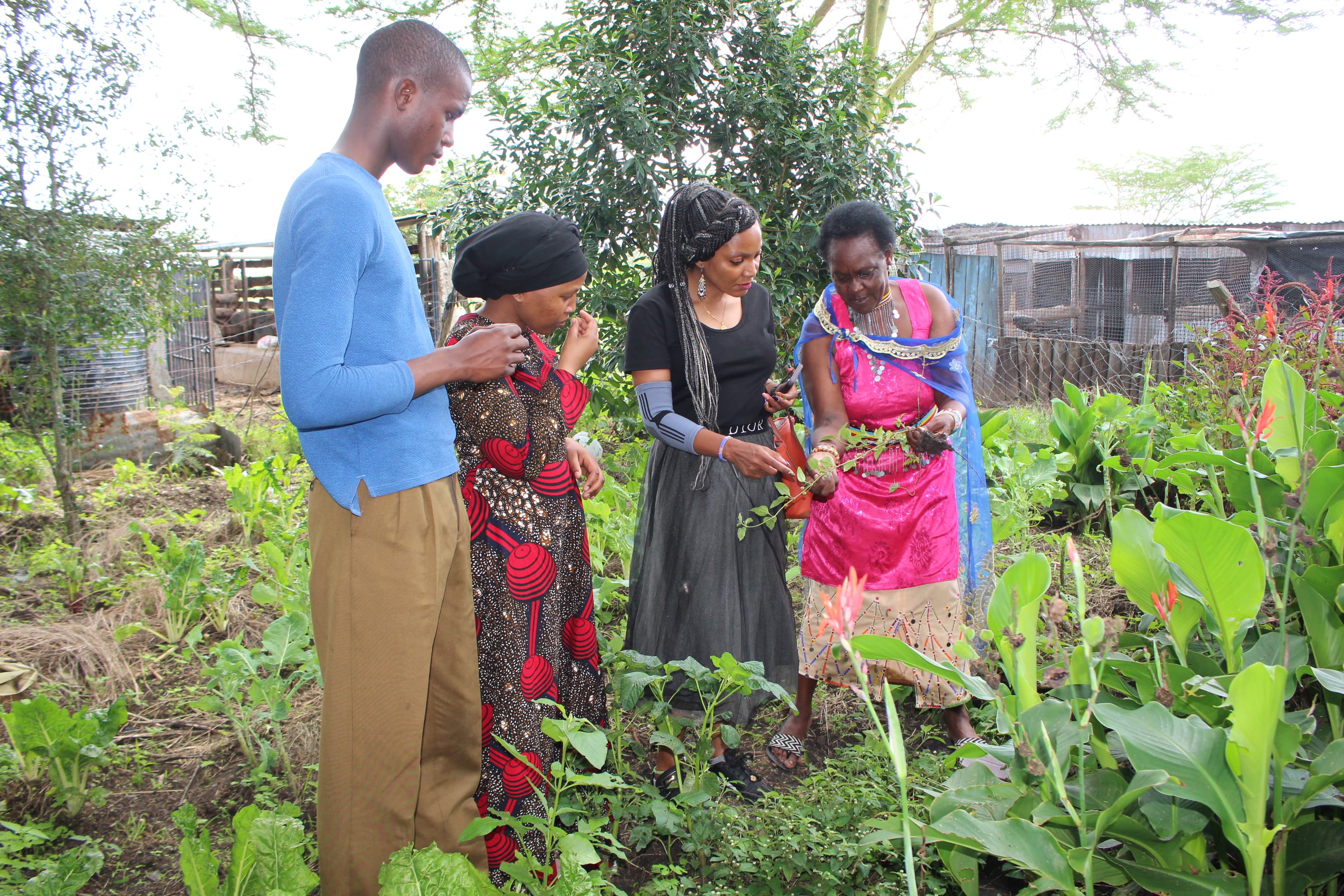 Community agroecology and field restoration